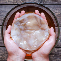 Ep. 25 Kefir and Kombucha: Brewing with Bacteria