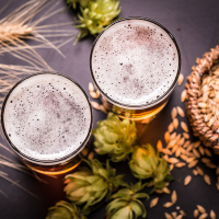 Ep 76 Conversations on Home Brewing and the History of Beer