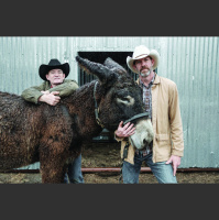 Audio Article: Poitou Donkeys