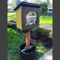 Audio Article: My Little Free Seed Library