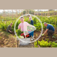 Your Path to Self-Reliance