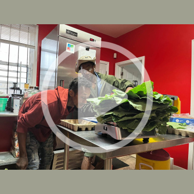 Mother Earth News And Friends