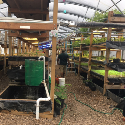 Mother Earth News And Friends