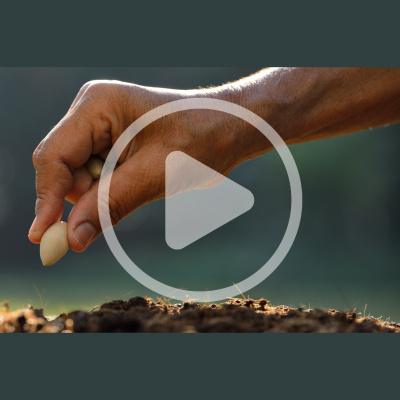 Mother Earth News And Friends