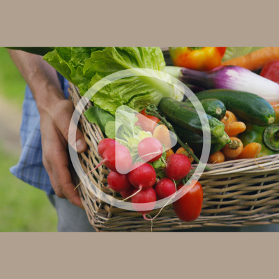 Mother Earth News And Friends