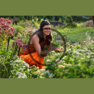 Mother Earth News And Friends