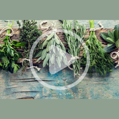 Mother Earth News And Friends