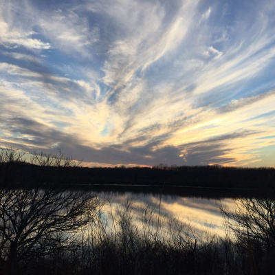 Mother Earth News And Friends