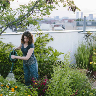 Mother Earth News And Friends