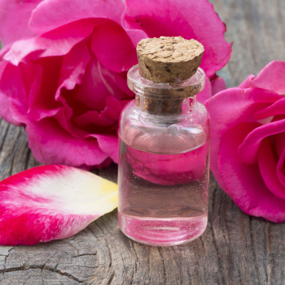 Mother Earth News And Friends