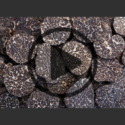 Mother Earth News And Friends