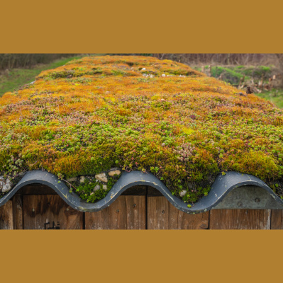 Mother Earth News And Friends