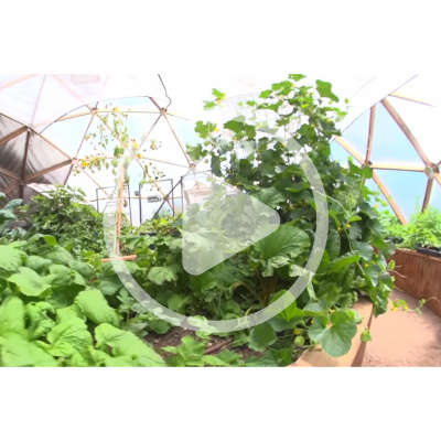 Mother Earth News And Friends