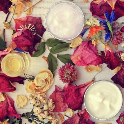 Mother Earth News And Friends