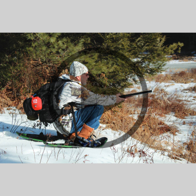 Mother Earth News And Friends