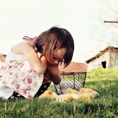 Mother Earth News And Friends