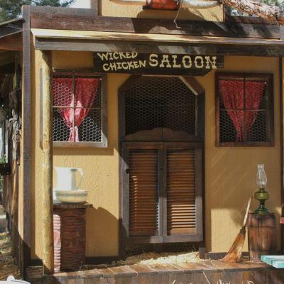 Mother Earth News And Friends