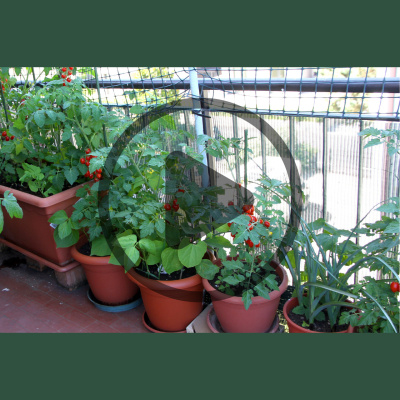 Mother Earth News And Friends