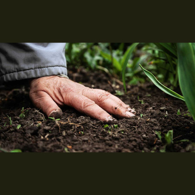 Mother Earth News And Friends