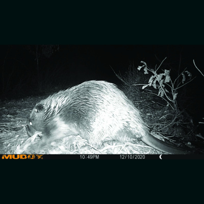 Mother Earth News And Friends