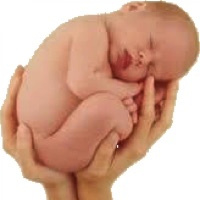 Episodio 3. El bebe violentado