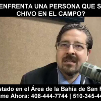 ¿A qué se enfrenta una persona que se lleva un chivo en el campo?