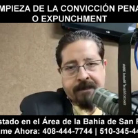 Limpieza de la convicción penal o Expunchment