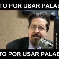 Delito por usar palabras