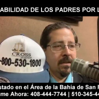 Responsabilidad de los padres por los hijos