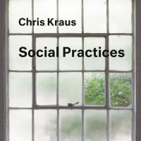Chris Kraus: Social Practices