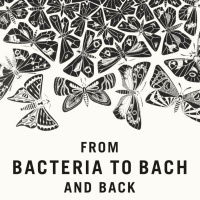 From Bacteria to Bach and Back: The Evolution of Minds