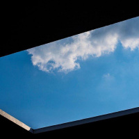 Michael Pollan: How to change your mind