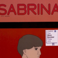 Can graphic novels be considered literature?