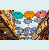 Potencia Pro 209: Precio elegido por el cliente y trucos html que puede que no conozcas