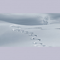 Potencia Pro 205: Seguimiento de envío en WooCommerce