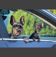 Potencia Pro 186: Monográfico de Git como herramienta de desarrollo WordPress