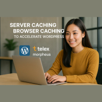 Potencia Pro 314: Velocidad WordPress al máximo: caché, Telex y el mirror Morpheus