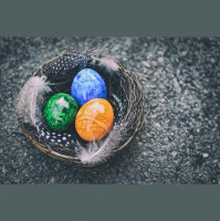 Potencia Pro 187, WordPress de Pasión, bases de datos y redirecciones