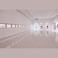 Potencia Pro 182: Galerías dinámicas en WordPress y carga condicional de javascript