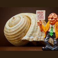 Potencia Pro 257: Cómo hacer más rentable una tienda online con WooCommerce