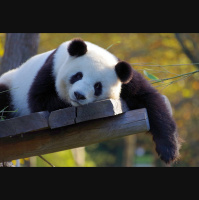 Potencia Pro 219: Filtros avanzados y Soporte en WordPress