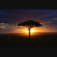 Potencia Pro 296: Entrevista con Luis Miguel Climent @lmcliment sobre la WordCamp Denia