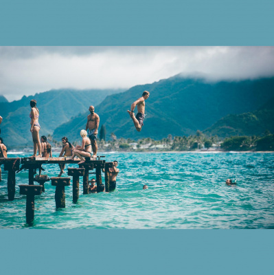 Potencia Pro, Wordpress Paso A Paso