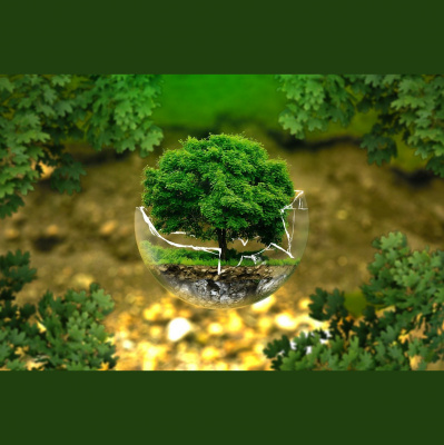 Potencia Pro, Wordpress Paso A Paso