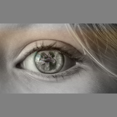 Potencia Pro, Wordpress Paso A Paso