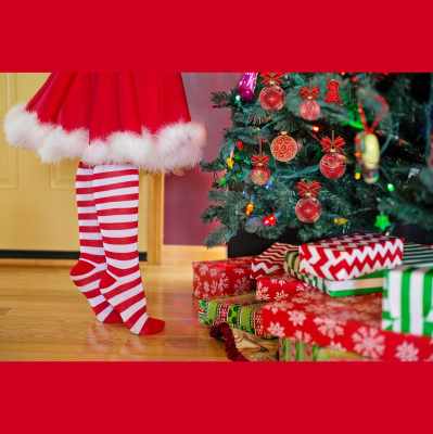 Potencia Pro, Wordpress Paso A Paso