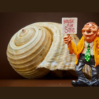 Potencia Pro, Wordpress Paso A Paso