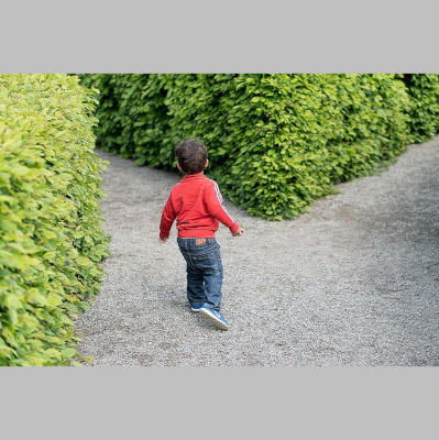 Potencia Pro, Wordpress Paso A Paso