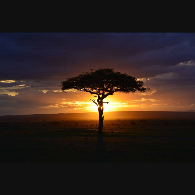 Potencia Pro, Wordpress Paso A Paso