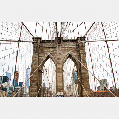 Potencia Pro, Wordpress Paso A Paso